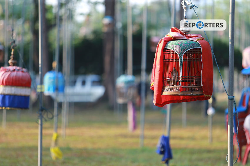 เปิดฉากมหกรรมนกเขาชวาเสียงอาเซียน ครั้งที่ 38 ที่ยะลา